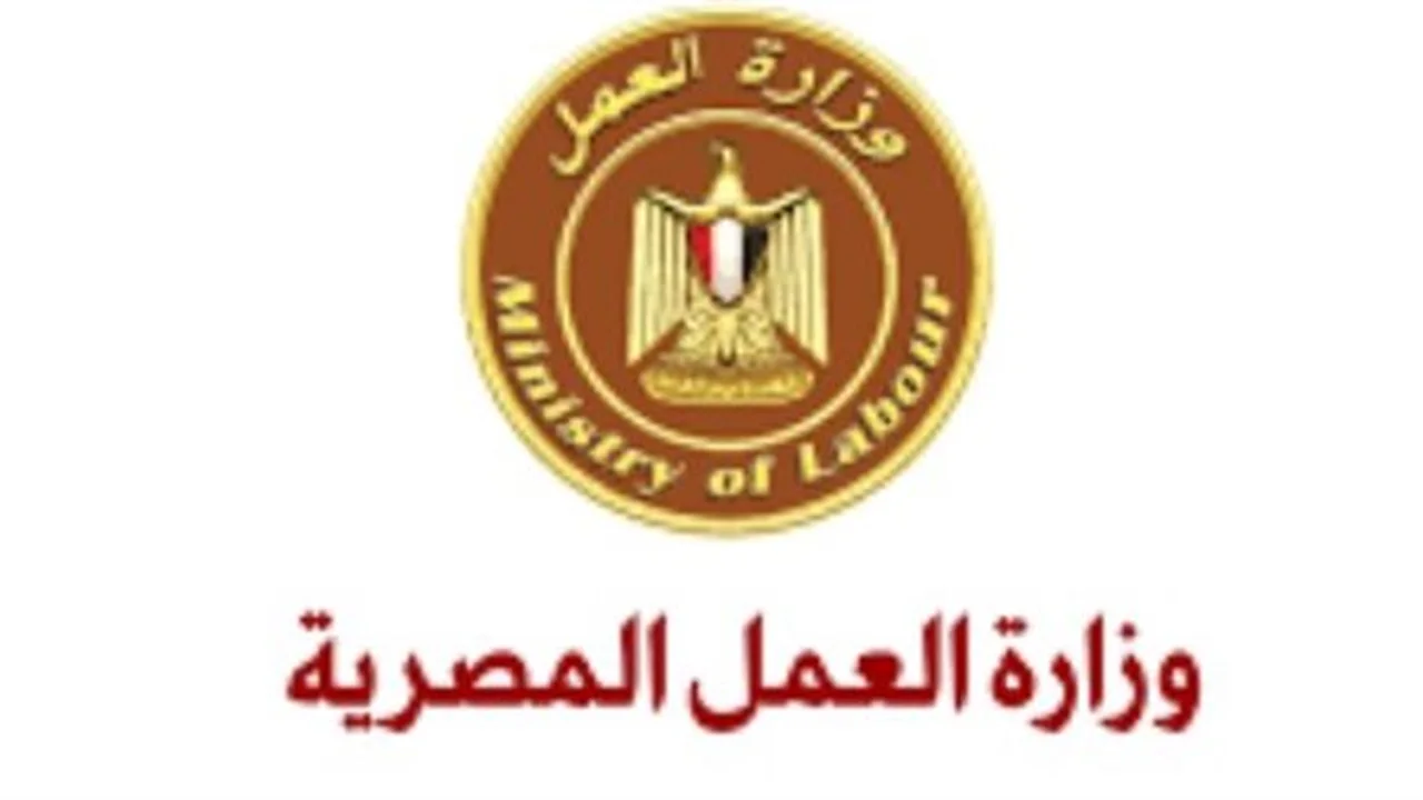 500 فرصة عمل.. بدء ملتقى التوظيف بجمعية المستثمرين
